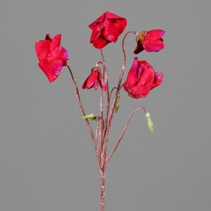 CICLAMINO