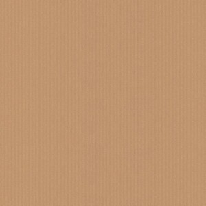 MAZZO FOGLI CARTA MILLERIGHE