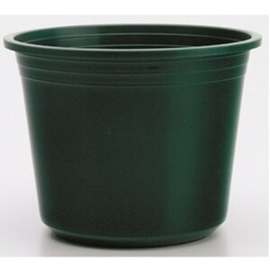 VASO SPRING
