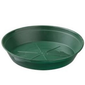 SOTTOVASO TONDO