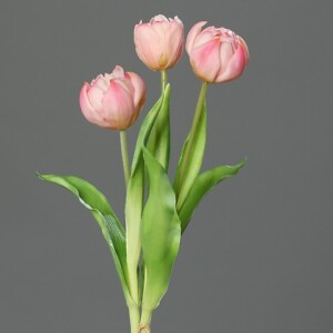 PEONIE
