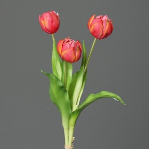 PEONIE