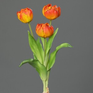 PEONIE