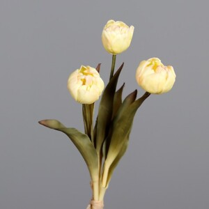 PEONIE