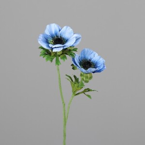 ANEMONE