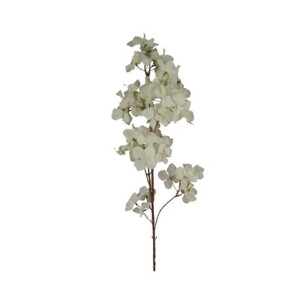 RAMO HYDRANGEA