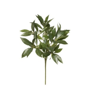 ALLORO