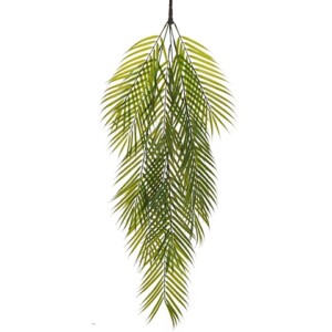 ARECA RAMO