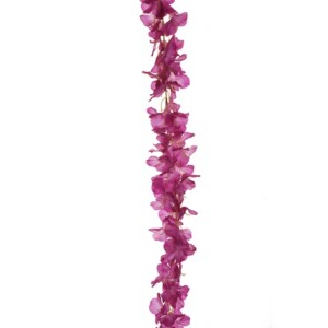 WISTERIA