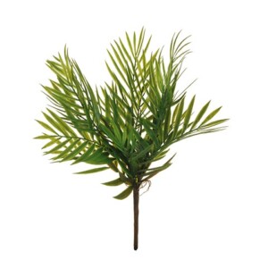 ARECA