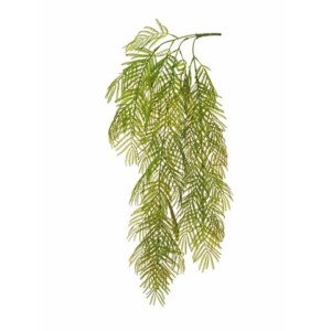 MIMOSA