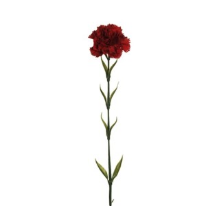 GAROFANO