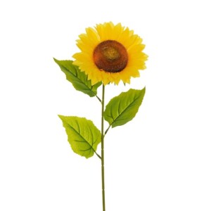 GIRASOLE
