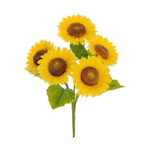 GIRASOLE