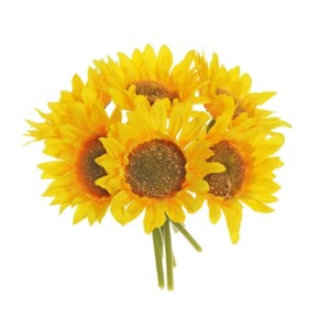 GIRASOLI MAZZO