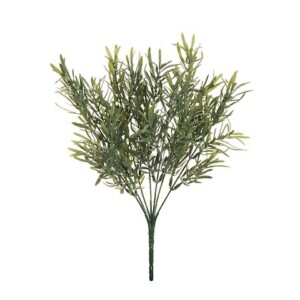ROSMARINO