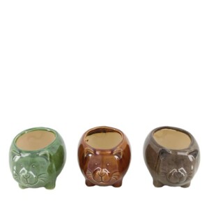 VASO GATTINO 3ASS