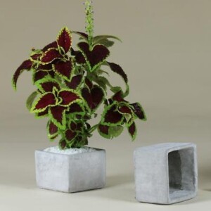 CUBO