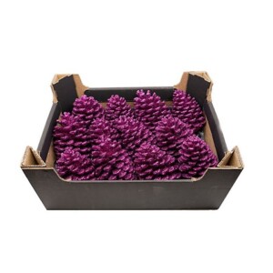 PIGNA GLITTER