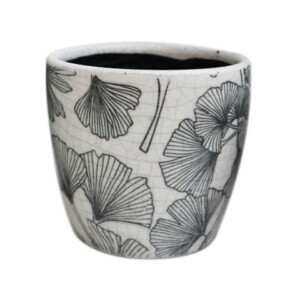 CASPO' CRACKLE'