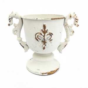 COPPETTA C/MANICI E STEMMA