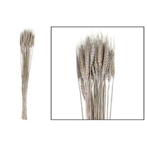 GRANO 100GR