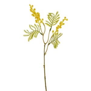 MIMOSA