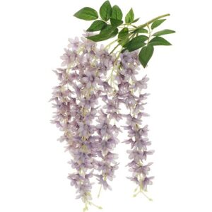 GLICINE
