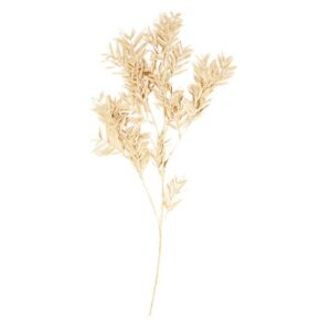 RAMO BAMBOO