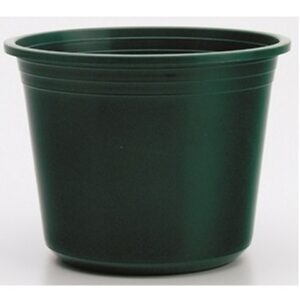 VASO SPRING