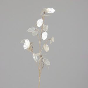 LUNARIA
