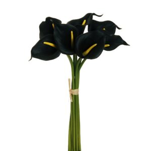 CALLA