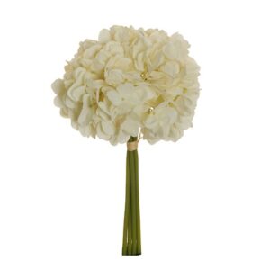 HYDRANGEA