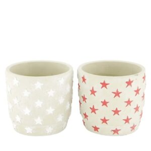 VASO 2ASS