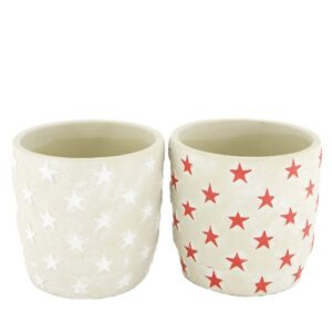VASO 2ASS