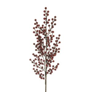 ILEX