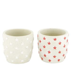 VASO 2ASS