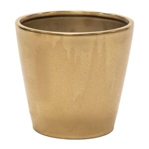 VASO