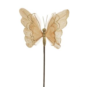 FARFALLA VELLUTO