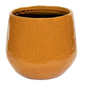 VASO