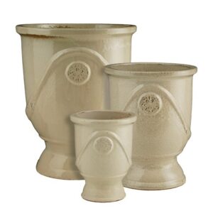 VASO