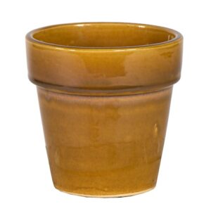 VASO
