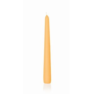 CANDELA CONICA 250/25