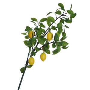 RAMO LIMONE CON FRUTTI