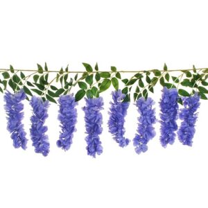 WISTERIA