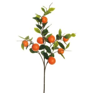 RAMO ARANCIO