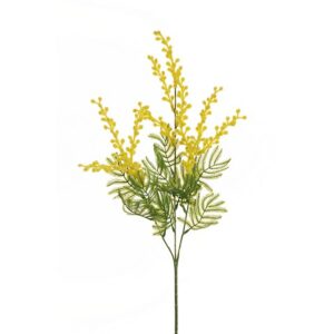 MIMOSA