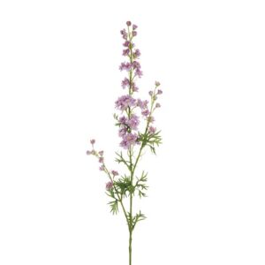 DELPHINIUM
