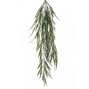 LEPISMIUM