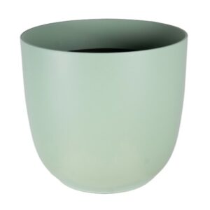 VASO